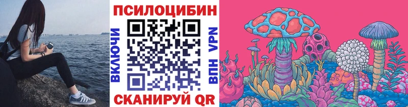 МЕГА ТОР  Адыгейск  Псилоцибиновые грибы Magic Shrooms  цены  